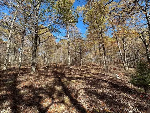 20 Acres Ml Madison 4275, Combs, AR 72721 photo 8