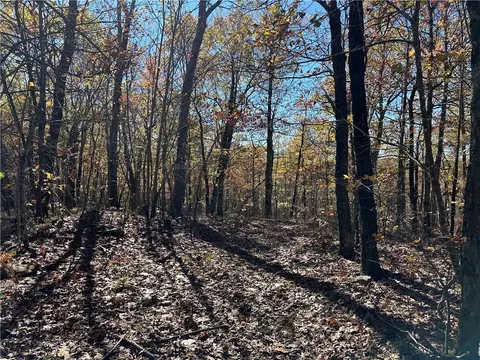 20 Acres Ml Madison 4275, Combs, AR 72721 photo 3