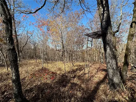 20 Acres Ml Madison 4275, Combs, AR 72721 photo 6