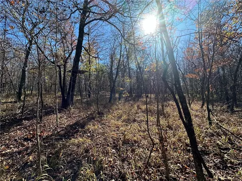 20 Acres Ml Madison 4275, Combs, AR 72721 photo 7