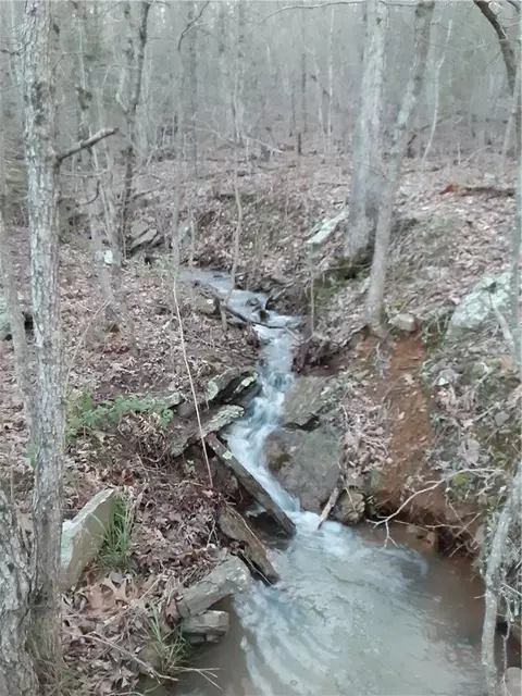 View/Area - 14144 Low Gap Rd, West Fork, AR 72774 photo 4 of 4