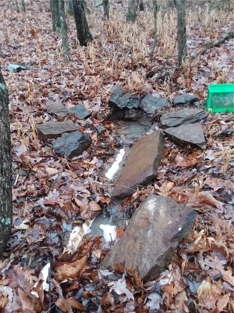 Other - 14144 Low Gap Rd, West Fork, AR 72774 photo 13 of 31