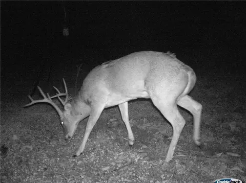 Other - 14144 Low Gap Rd, West Fork, AR 72774 photo 20 of 31