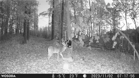 941 Gable Rd, Harriet, AR 72639 photo 2