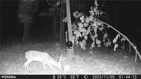 941 Gable Rd, Harriet, AR 72639 photo 22