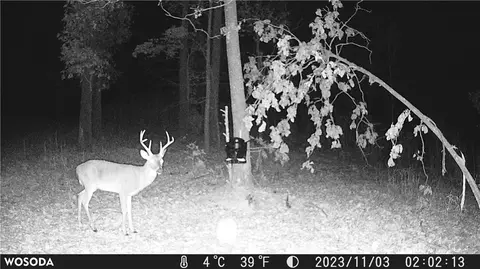 941 Gable Rd, Harriet, AR 72639 photo 24