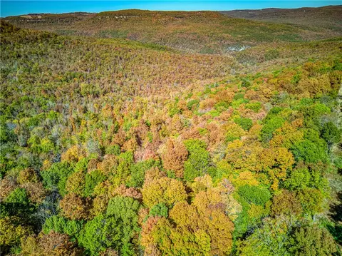 3481 Nc 8650 Rd, Jasper, AR 72641 photo 42