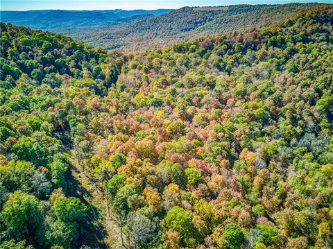 3481 Nc 8650 Rd, Jasper, AR 72641 photo 46