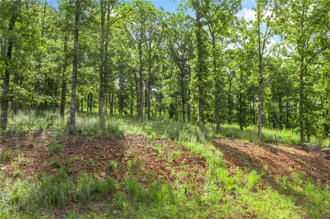 lot23 Restore Rdg, Harrison, AR 72601 photo 4