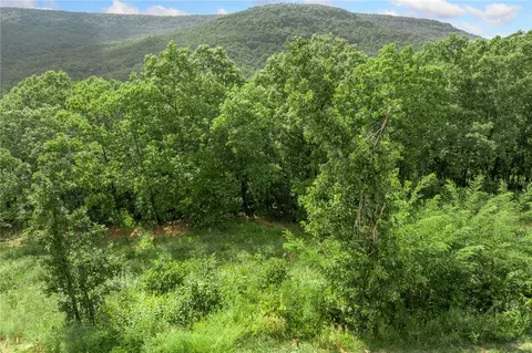 lot24 Peaceful Pl, Harrison, AR 72601 photo 5