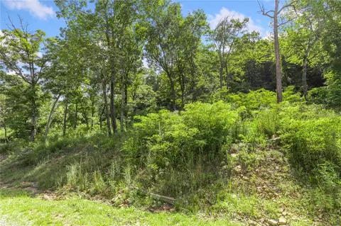 lot50 Restore Rdg, Harrison, AR 72601 photo 3