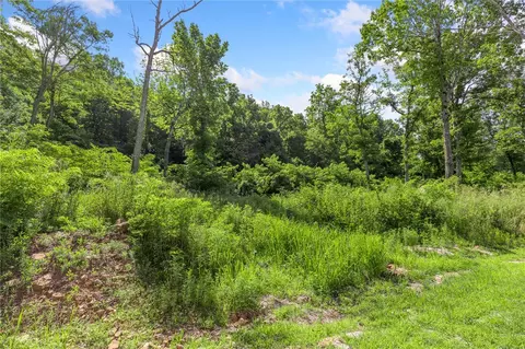 lot50 Restore Rdg, Harrison, AR 72601 photo 4