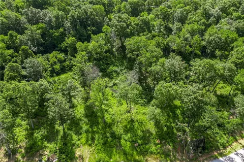 lot52 Restore Rdg, Harrison, AR 72601 photo 6