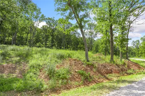 lot54 Restore Rdg, Harrison, AR 72601 photo 4