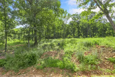 lot54 Restore Rdg, Harrison, AR 72601 photo 2