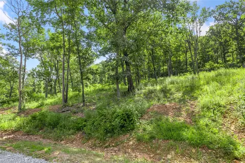 lot54 Restore Rdg, Harrison, AR 72601 photo 3