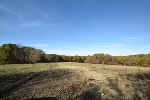11015 E State Hwy 90, Pineville, MO 64856 photo 8