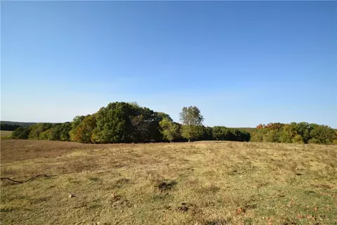 11015 E State Hwy 90, Pineville, MO 64856 photo 20