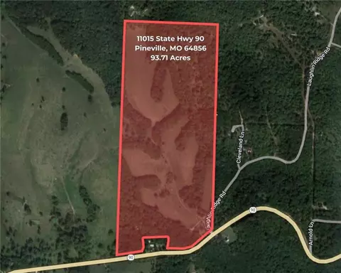 11015 E State Hwy 90, Pineville, MO 64856 photo 5