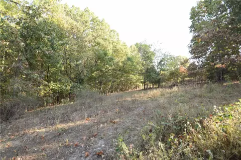 11015 E State Hwy 90, Pineville, MO 64856 photo 54