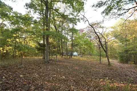 11015 E State Hwy 90, Pineville, MO 64856 photo 38