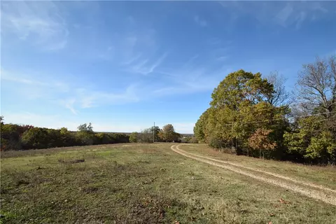 11015 E State Hwy 90, Pineville, MO 64856 photo 15