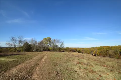 11015 E State Hwy 90, Pineville, MO 64856 photo 4