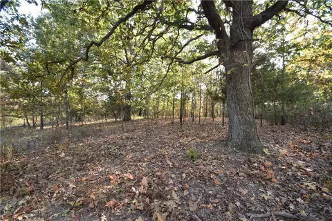 11015 E State Hwy 90, Pineville, MO 64856 photo 19
