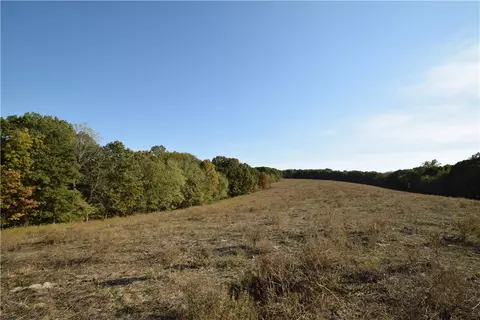 11015 E State Hwy 90, Pineville, MO 64856 photo 3