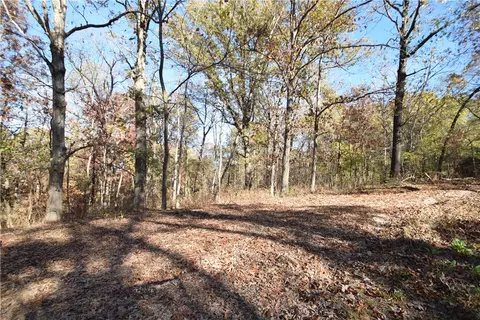 11015 E State Hwy 90, Pineville, MO 64856 photo 51
