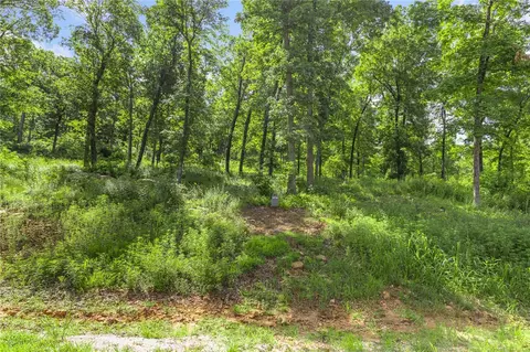 lot58 Restore Rdg, Harrison, AR 72601 photo 3