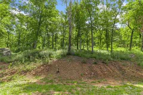 lot59 Restore Rdg, Harrison, AR 72601 photo 2