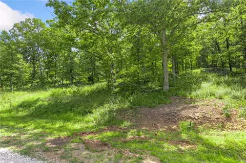 lot61 Restore Rdg, Harrison, AR 72601 photo 3