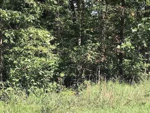 lot11 Bk 6 Shetland Dr, Bella Vista, AR 72715