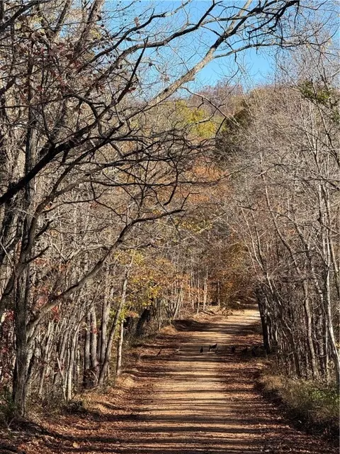 lot S 210 211 Arabian Dr, Rogers, AR 72756