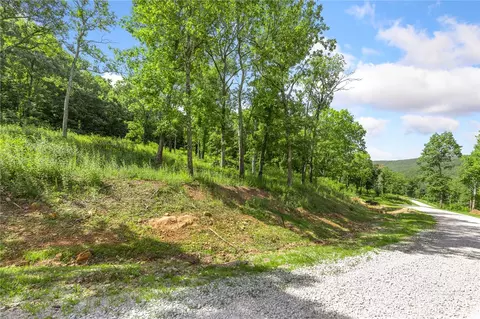 lot101 Restore Rdg, Harrison, AR 72601 photo 4