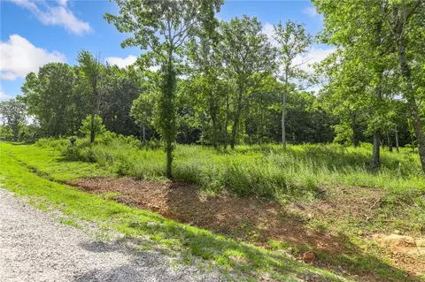 lot101 Restore Rdg, Harrison, AR 72601 photo 3
