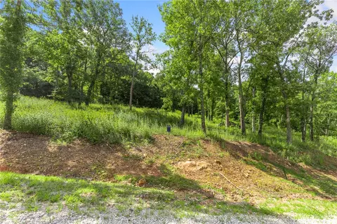 lot101 Restore Rdg, Harrison, AR 72601 photo 2