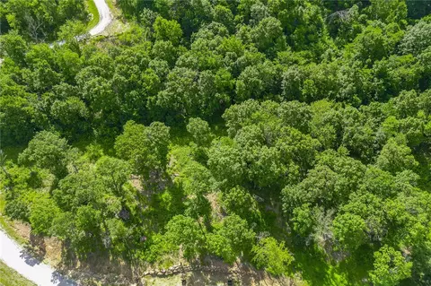 lot102 Restore Rdg, Harrison, AR 72601 photo 6