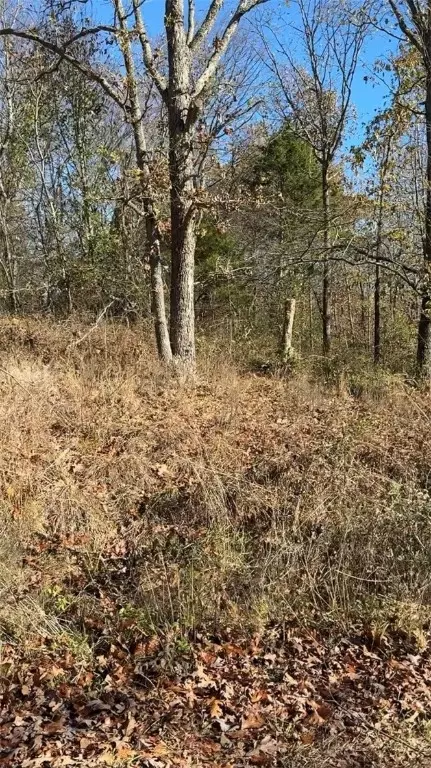 Dunkeld Drive, Bella Vista, AR 72715