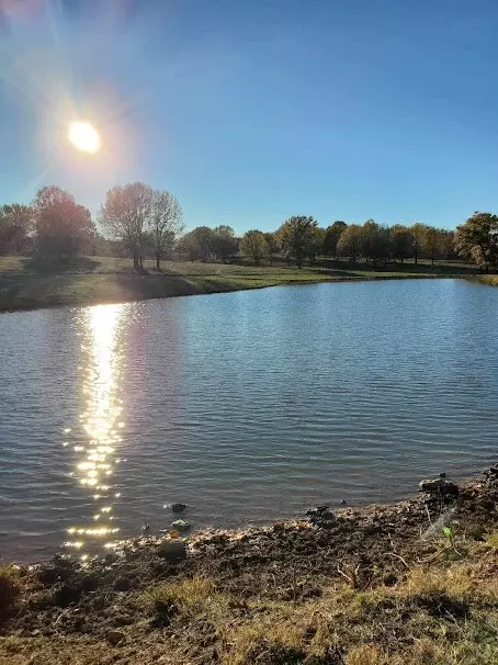 Fr 1020, Pierce City, MO 65723