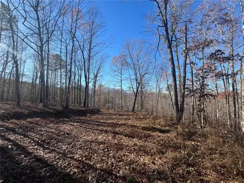 0000 Nc 3050, Jasper, AR 72641 photo 5