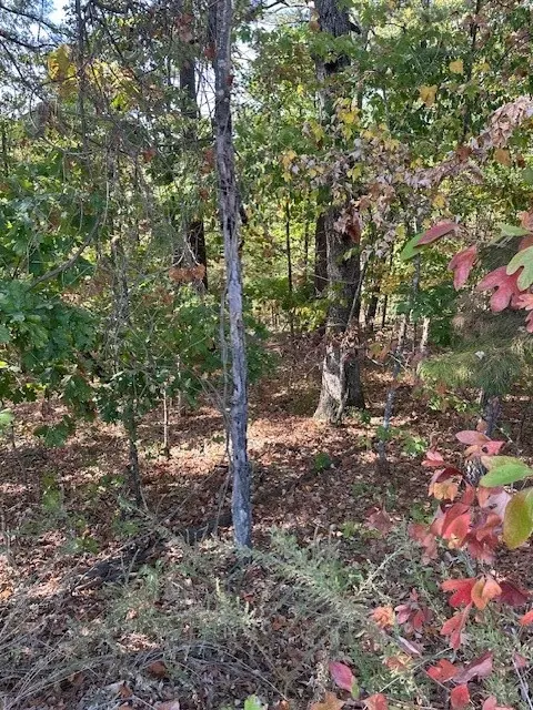 Marlborough Drive, Bella Vista, AR 72714