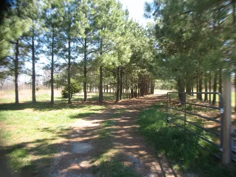 15316 Northview Rd, Elkins, AR 72727