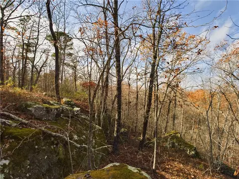 Nc1800, Jasper, AR 72641 photo 21