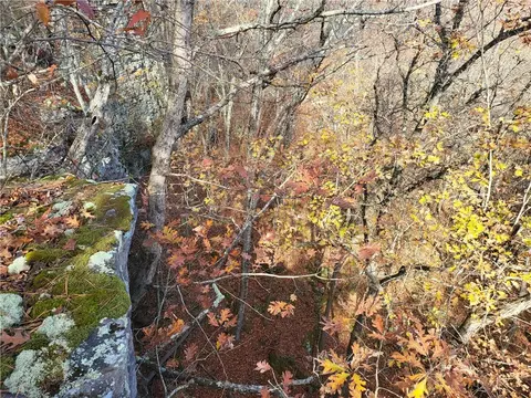 Nc1800, Jasper, AR 72641 photo 6