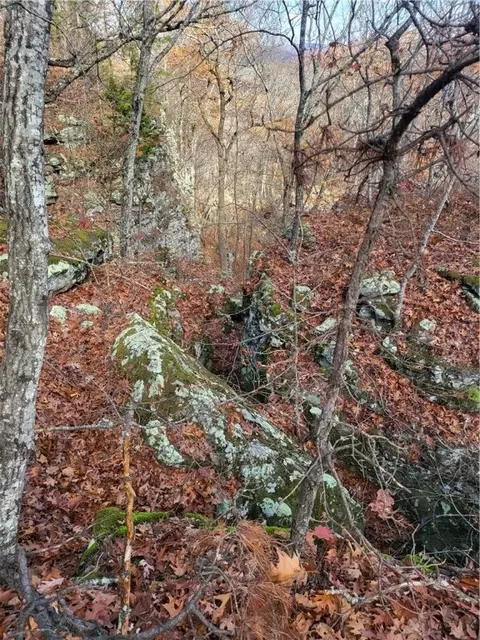Nc1800, Jasper, AR 72641 photo 7