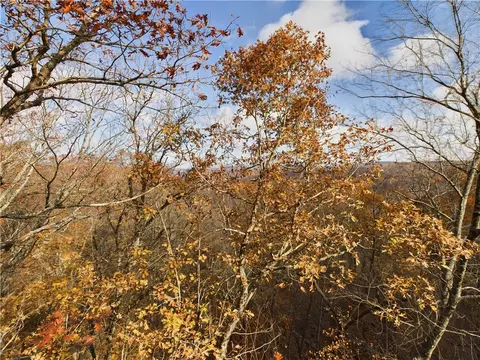 Nc1800, Jasper, AR 72641 photo 13