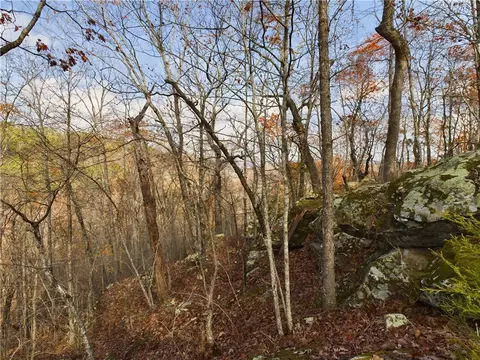 Nc1800, Jasper, AR 72641 photo 18