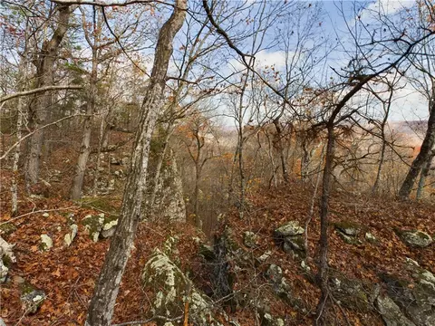 Nc1800, Jasper, AR 72641 photo 10